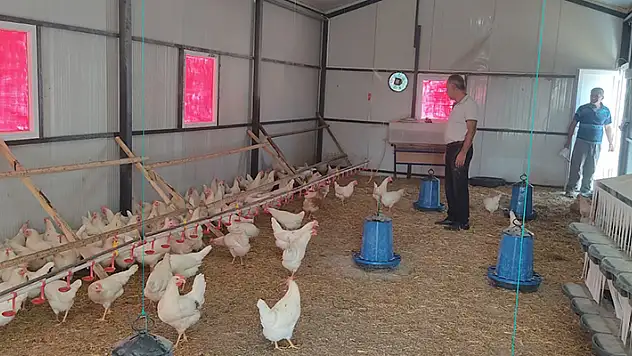 Seydişehir Suğla Mesleki ve Teknik Anadolu Lisesi'nde 300 tavuk kapasiteli kümes kuruldu
