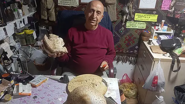 Seydişehir'de dev mantar görenleri şaşırttı