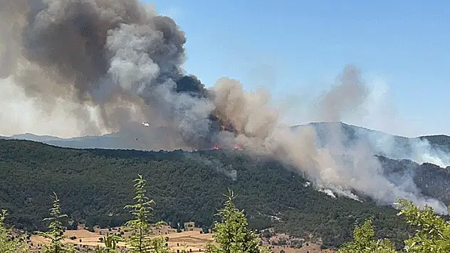 Seyitgazi'de çıkan yangın büyümeye devam ediyor