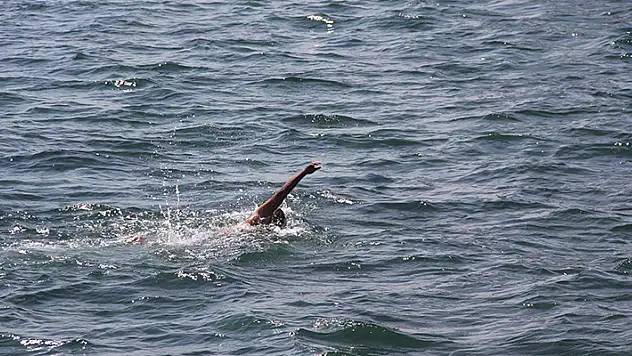 Sıcaklarda baraj, gölet ve sulama kanallarında boğulma oranı artıyor

