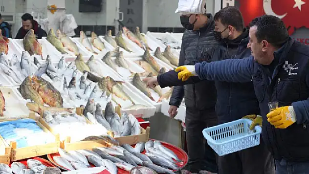 Sıcaklıkların artmasıyla hamsinin fiyatında düşüş bekleniyor
