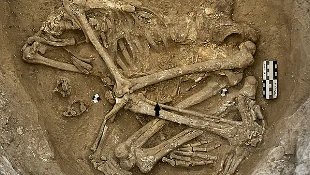 Şiddet, bulaşıcı hastalık, kalabalık... Konya- Çatalhöyük ile ilgili şaşırtan yeni bulgular