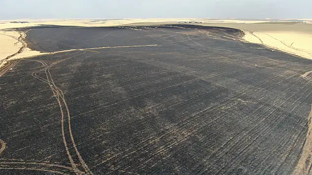 Sigara izmariti 700 dönümlük tarlayı küle çevirdi
