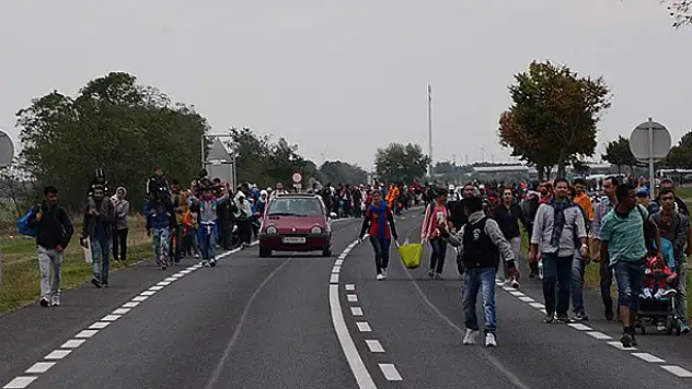 Sığınmacılar Viyana'ya doğru yürüyüşe geçti