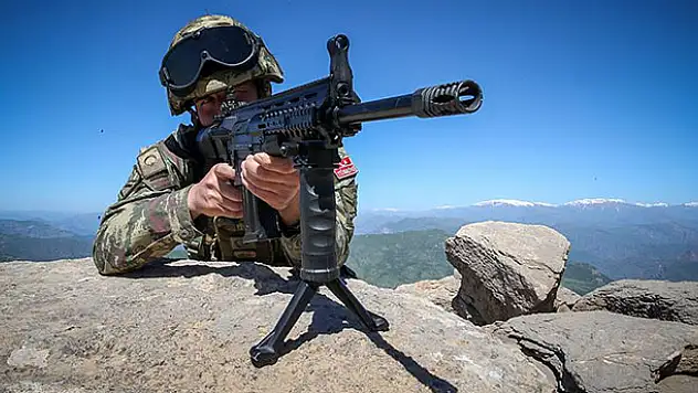 Siirt'te 2 PKK'lı terörist etkisiz hale getirildi