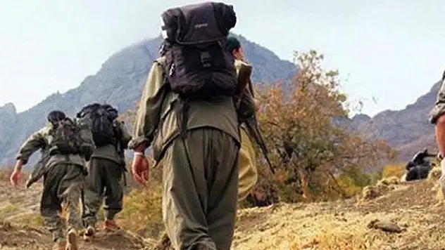 Siirt'te 2 terörist etkisiz hale getirildi