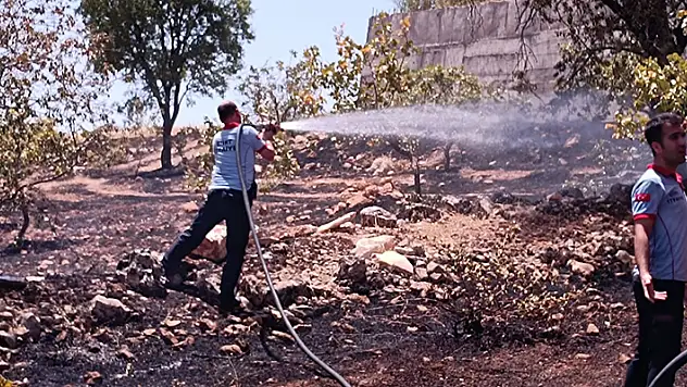 Siirt'te fıstık bahçesinde yangın: 50 ağaç yandı

