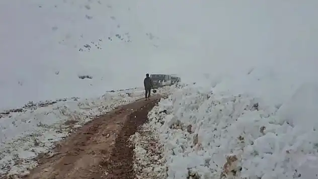 Siirt'te karda mahsur 6 araçtaki 15 kişi kurtarıldı

