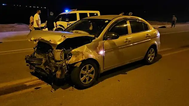 Siirt'te otomobilin çarptığı 17 küçükbaş hayvan öldü
