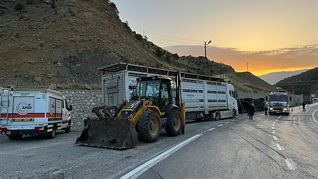 Siirt'te tır devrildi: 2 kişi yaralandı, 40 küçükbaş hayvan telef oldu
