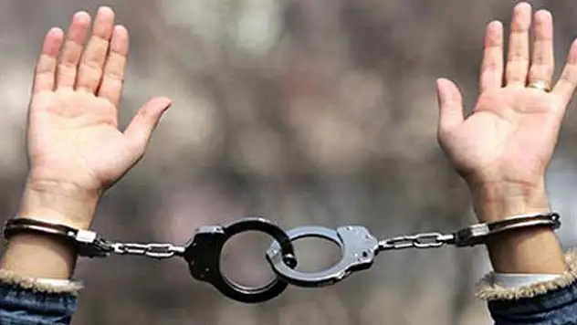 Siirt'teki operasyonda bir kişi tutuklandı