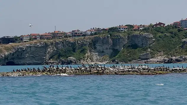 Şile Belediyesi  36 arsa satacak
