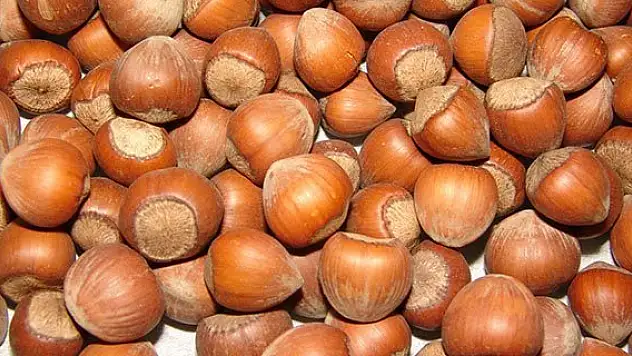 Sınav öncesi fındık tüketin önerisi