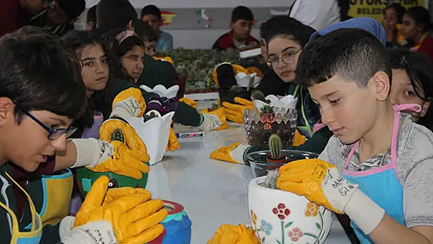 Sınıfı seraya çevirip kaktüs ektiler