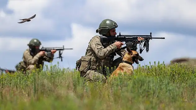 Sınır hattında 12 kişi yakalandı!