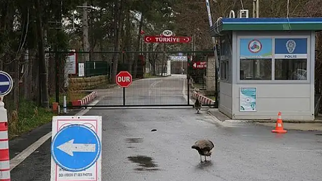 Sınır kapılarında 219 FETÖ'cü yakalandı
