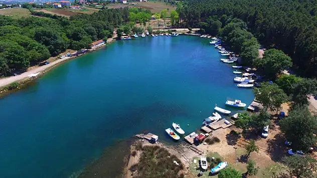 Sinop Hamsilos Tabiat Parkı'nda turizm yolu, bisiklet yolu ve yaya yolu yapımı için ihaleye çıktı
