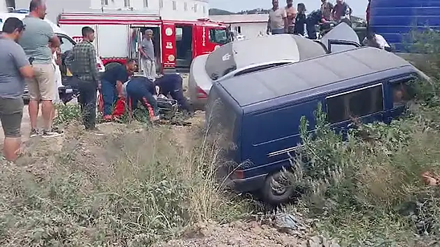 Sır Barajı'nda adada mahsur kalan 3 çocuk ve 2 köpek kurtarıldı