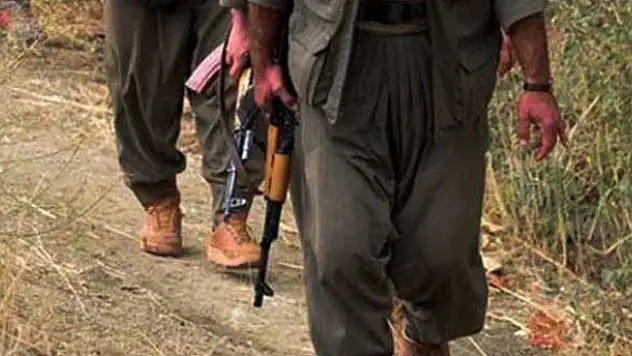 Şırnak'ta 1 terörist teslim oldu