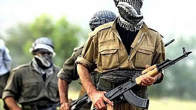 Şırnak'ta 10 terörist teslim oldu