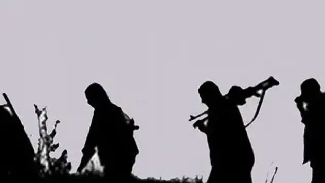 Şırnak'ta 6 PKK'lı teslim oldu