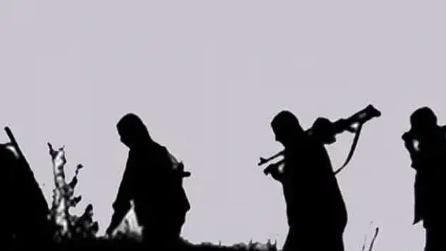 Şırnak'ta 7 PKK'lı teslim oldu