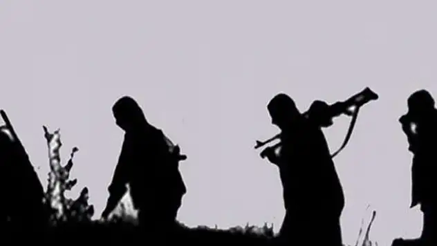 Şırnak'ta 8 PKK'lı teslim oldu