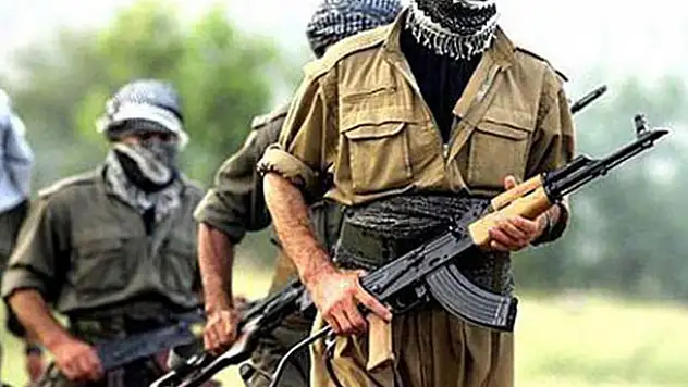 Şırnak'ta 8 PKK'lı teslim oldu