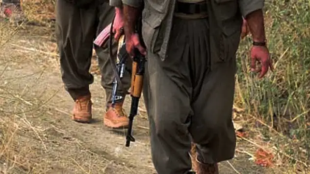 Şırnak'ta 8 terörist teslim oldu