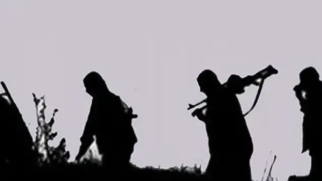 Şırnak'ta 9 PKK'lı teslim oldu