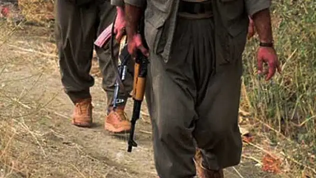 Şırnak'ta bir terörist teslim oldu