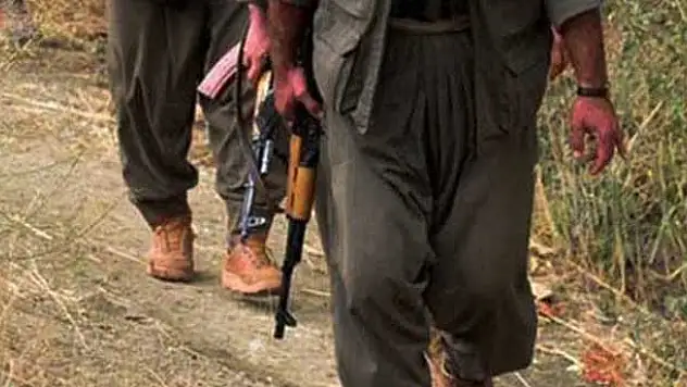 Şırnak'ta bir terörist teslim oldu