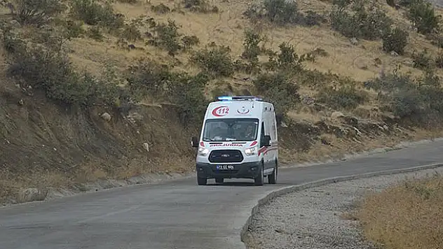 Şırnak'ta güvenlik korucularına saldırı: 3 yaralı