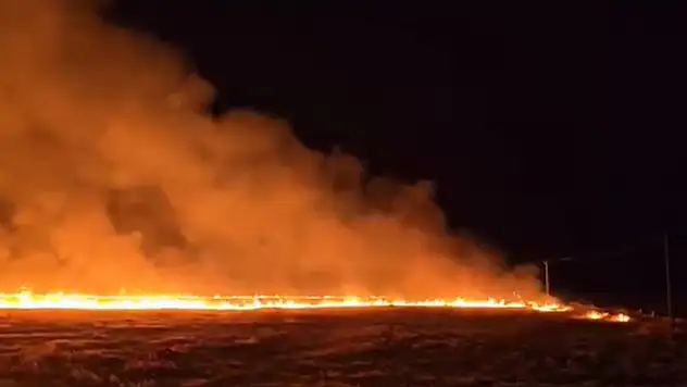 Şırnak'ın Suriye sınırında anız yangını: 7 köy etkilendi
