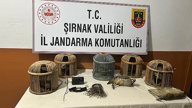 Şırnak'ta keklik avcılarına 67 bin lira ceza kesildi
