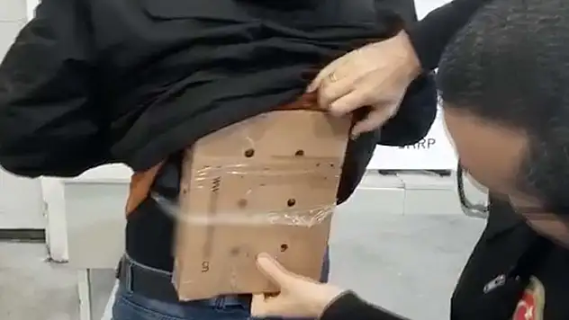 Sırtına bağladığı kutudaki su kaplumbağalarını Türkiye'ye sokmaya çalışan kişi sınırda yakalandı
