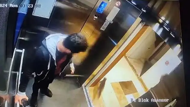 Sitede vahşice öldürülen kedi Eros davası bugün yeniden başlıyor!

