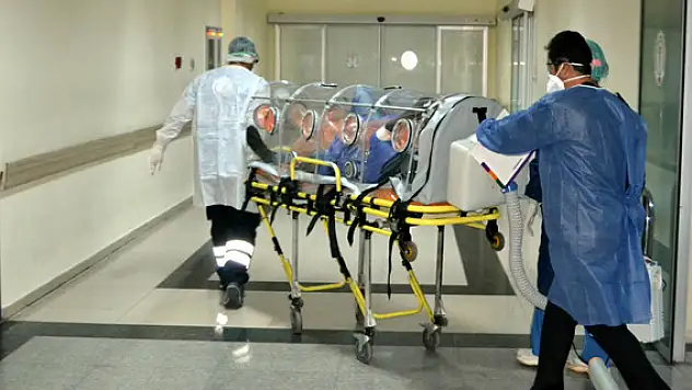 Sıtma ve Ebola birbirine benziyor