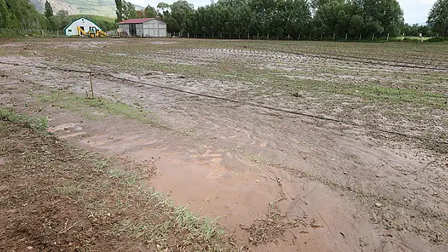 Sivas'ta sele kapılan 40 kuzu telef oldu
