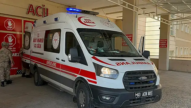 Siverek'te çiftçi domuzun saldırısına uğradı

