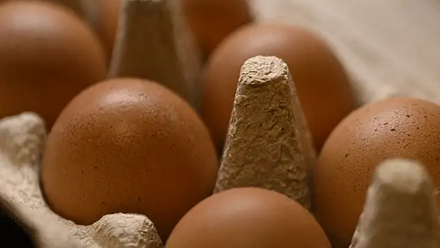 Sofralık yumurta ihracatında uygulanan fon kesintisi kaldırıldı