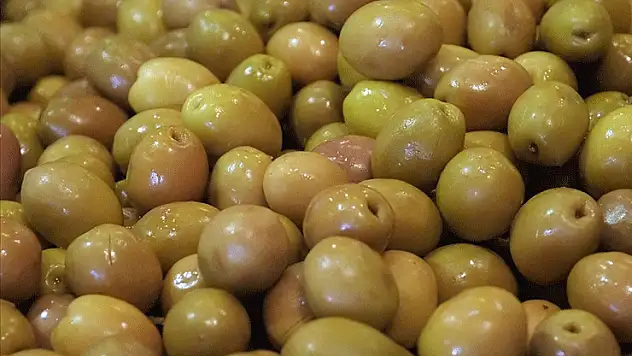 Sofralık zeytin ihracatında rekor kırıldı