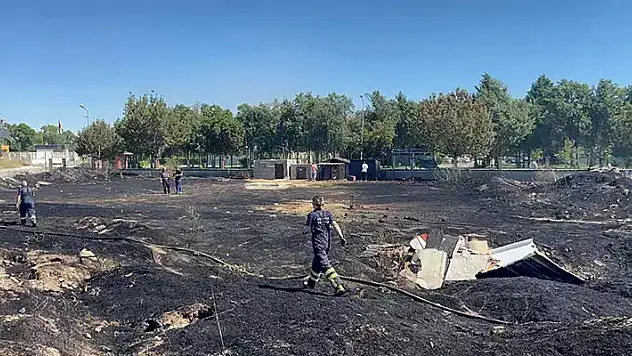 Sokak hayvanları besleme alanında yangın 30 kulübe yandı
