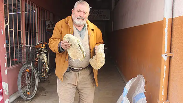 Sokak hayvanları için çöpten ekmek topluyor