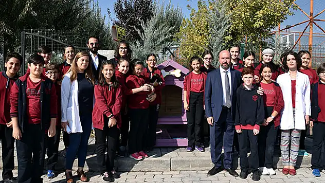 Sokak hayvanları için örnek davranış