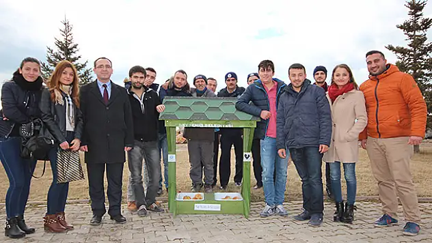 Sokak hayvanlarına sahip çıkıyorlar