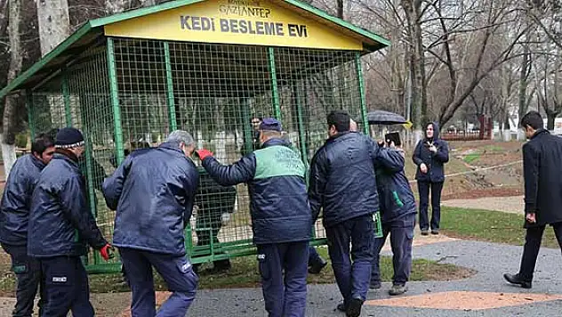 Sokak kedilerine 'sıcak yuva'