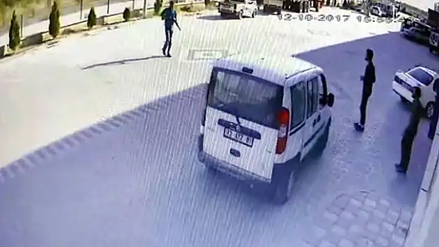 Sokak köpeğini 'kuşunu yediği için' tüfekle vurmuş