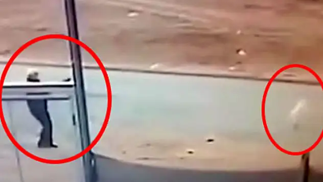 Sokak köpeğini tüfekle öldürdü, adli kontrolle serbest bırakıldı

