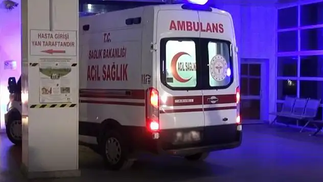 Sokak köpeklerinin saldırdığı yaşlı kadın öldü
